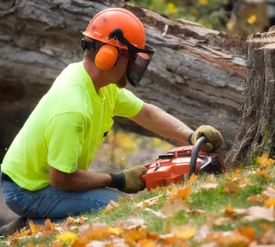 tree services Cassopolis